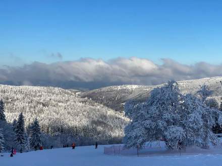 Activités Hiver au Champ du Feu · Destination Mont Champ du Feu