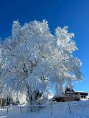 Location Ski Champ du Feu · Destination Mont Champ du Feu