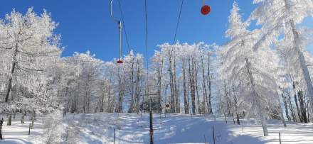 Destination Mont Champ du Feu · Station Ski Vosges, Alsace