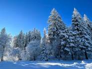 Location Ski Champ du Feu · Destination Mont Champ du Feu