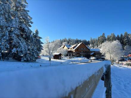 Destination Mont Champ du Feu · Station Ski Vosges, Alsace