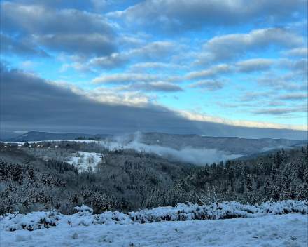 Mont Champ du Feu