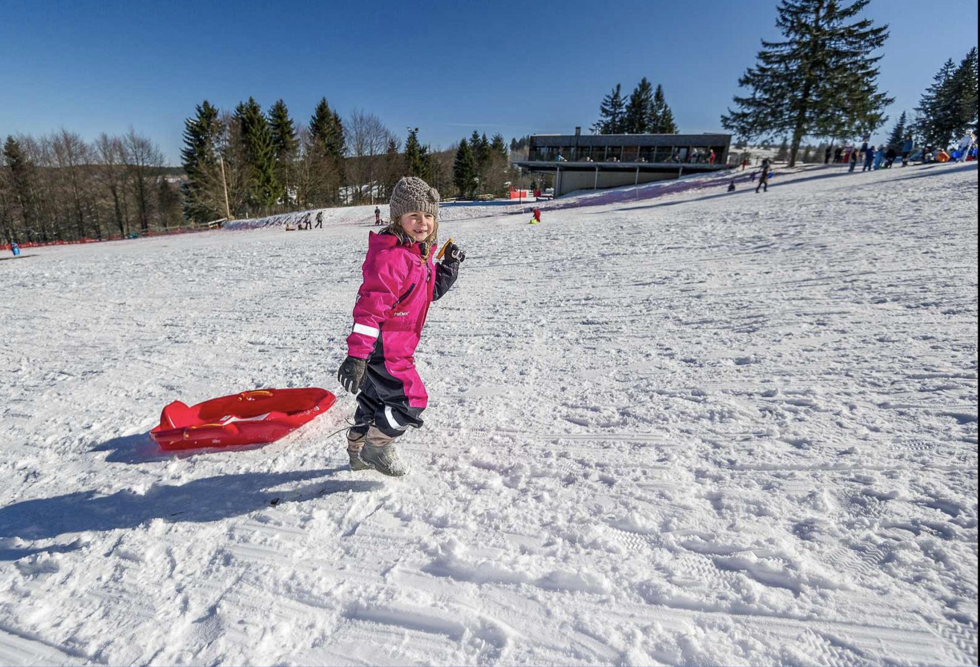 Luge 