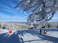 Location Ski Champ du Feu · Destination Mont Champ du Feu
