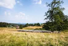 Destination Mont Champ du Feu · Station Ski Vosges, Alsace