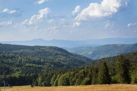 Destination Mont Champ du Feu · Station Ski Vosges, Alsace