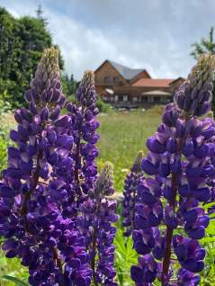 Destination Mont Champ du Feu · Station Ski Vosges, Alsace