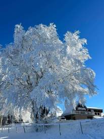 Destination Mont Champ du Feu · Station Ski Vosges, Alsace