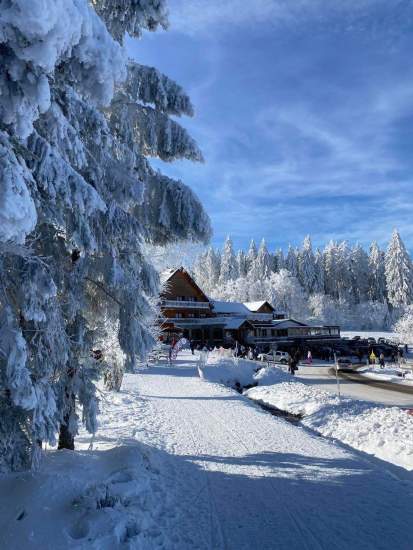 Location Ski Champ du Feu · Destination Mont Champ du Feu