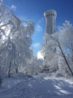 Destination Mont Champ du Feu · Station Ski Vosges, Alsace