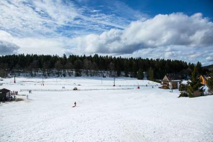 Location Ski Champ du Feu · Destination Mont Champ du Feu