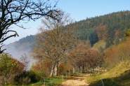 Activités Eté Champ du Feu · Destination Mont Champ du Feu